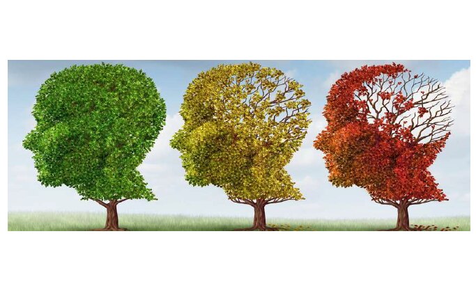 Frau­en­ver­ein: Vortrag